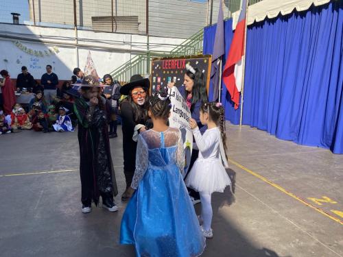 IMG 3781 (1)