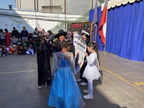IMG 3782 (1)
