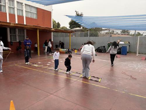 IMG 7981