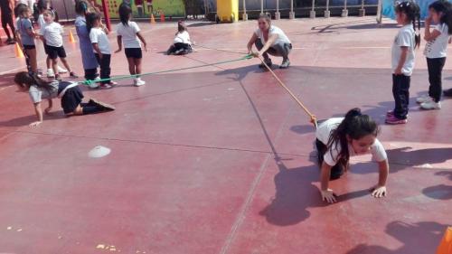 dia actividad fisica 2019 28