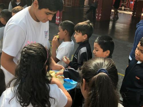 dia actividad fisica 2019 68
