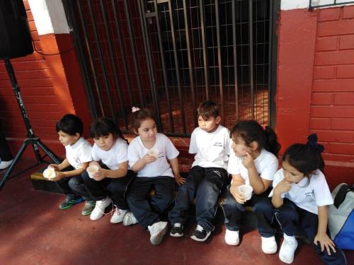 dia actividad fisica 2019 73