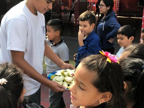 dia actividad fisica 2019 78