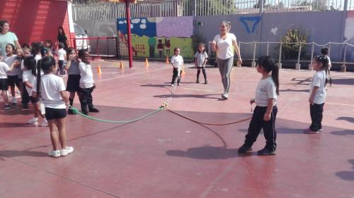 dia actividad fisica 2019 84
