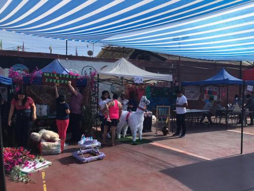 feria cientifica 2019 1043