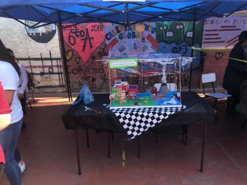 feria cientifica 2019 1071
