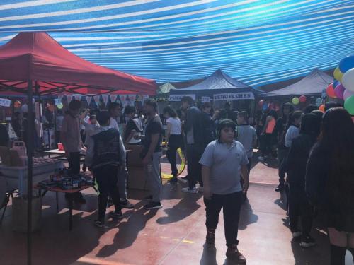 feria cientifica 2019 1089