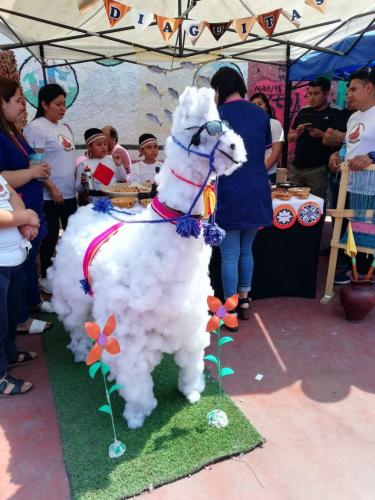 feria cientifica 2019 1096