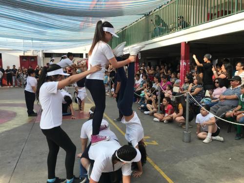 IMG-20190104-WA0137