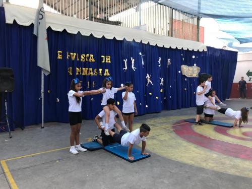 IMG-20190104-WA0164