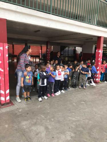 actividad fis A0059
